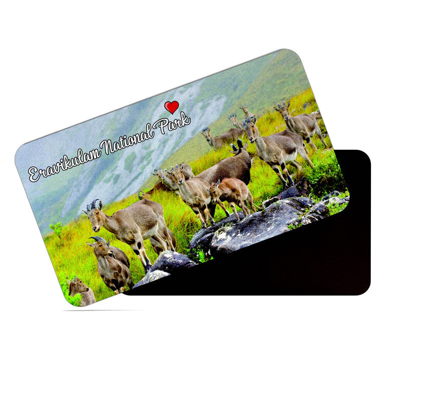 dhcrafts Rectangular Rubber Fridge Magnet / Magnetic Card Multicolor Eravikulam National Park Kerala Design Pack of 1 (8.6cm x 5.4cm)